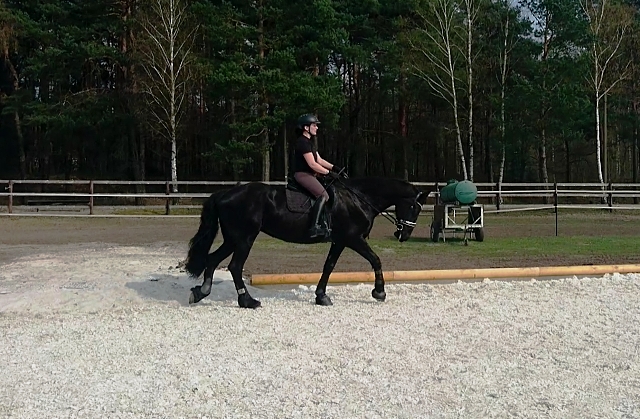 ReiterSchritt0317