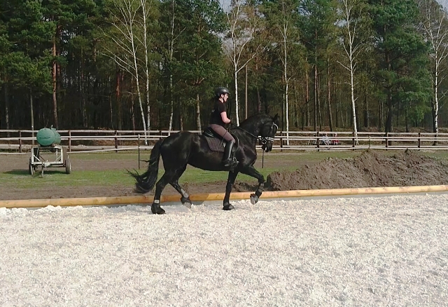 ReiterTrab0317rechts