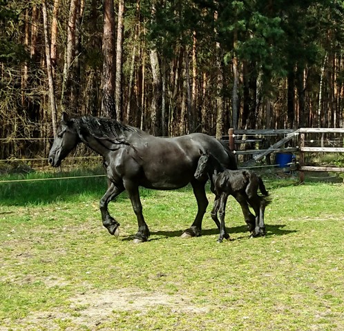 Spaziergang 1. Tag mit Mama