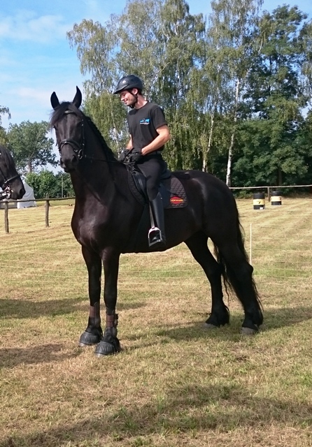 Heiderallye16Maxi
