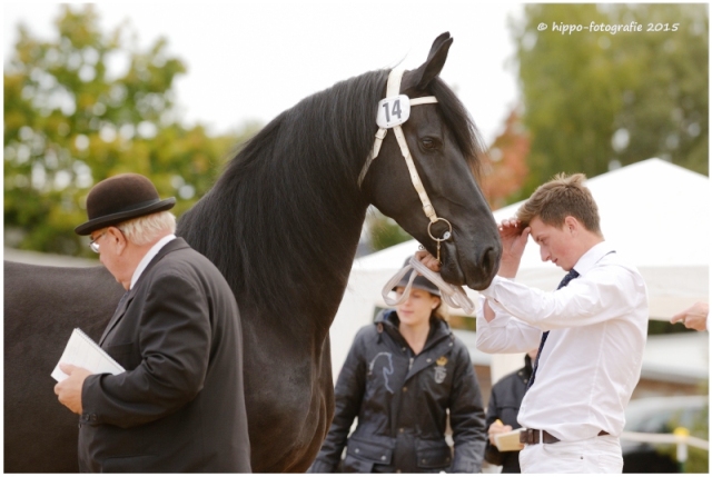 JanneSterZS2014