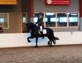 Momentaufnahme 3 (03.11.2019 11-19)